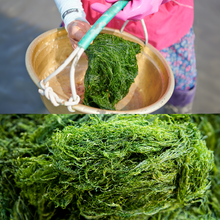 Load image into Gallery viewer, Roasted Gamtae Ecklonia Cava 서산해품 감태 (4g x 3 packs)