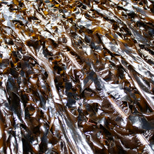 Load image into Gallery viewer, Traditional Seaweed 해녀가 인정한 전통 미역 (130g)