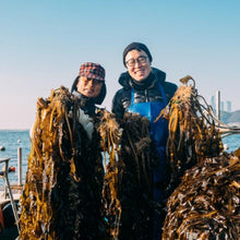 Load image into Gallery viewer, Traditional Seaweed 해녀가 인정한 전통 미역 (130g)