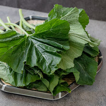 Load image into Gallery viewer, [Seoul Recipe] Pumpkin Leaves 호박잎 (200g)
