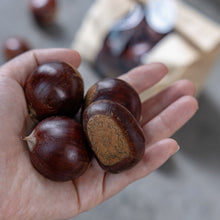 Load image into Gallery viewer, [Seoul Recipe] Ok-Kwang Chestnuts from Korea 한국산 밤의 황제, 옥광 밤 (500g)
