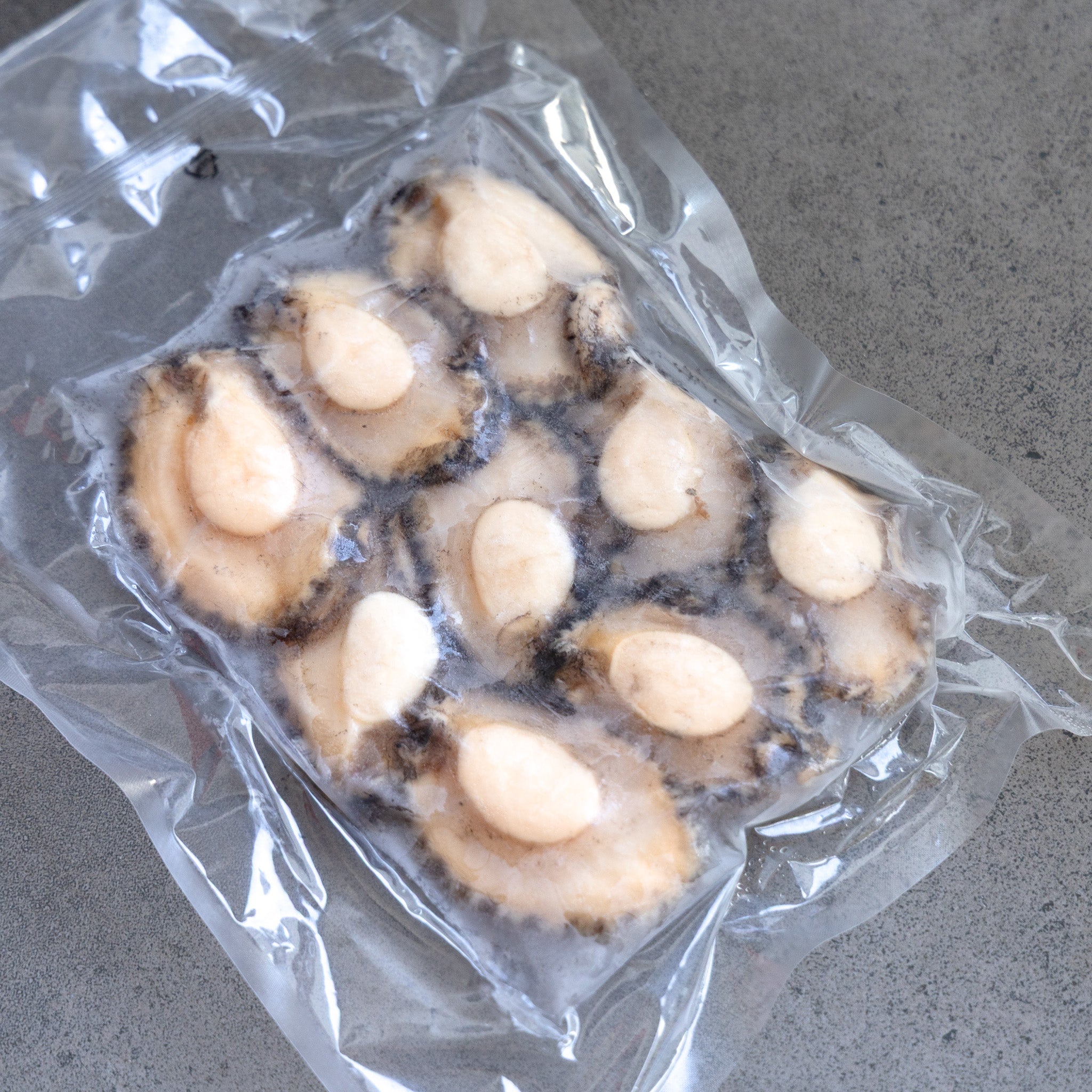 [바다앤영어조합법인] Korean Abalone (Frozen) 한국산 점보 전복 (냉동) (8-9 pcs, 500g~550g)