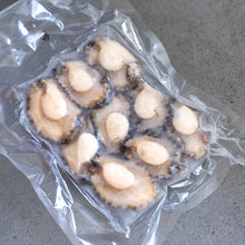Load image into Gallery viewer, [바다앤영어조합법인] Korean Abalone (Frozen) 한국산 전복 (냉동) (8-9 pcs, 500g~550g)
