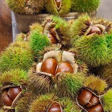 Load image into Gallery viewer, [Seoul Recipe] Ok-Kwang Chestnuts from Korea 한국산 밤의 황제, 옥광 밤 (500g)
