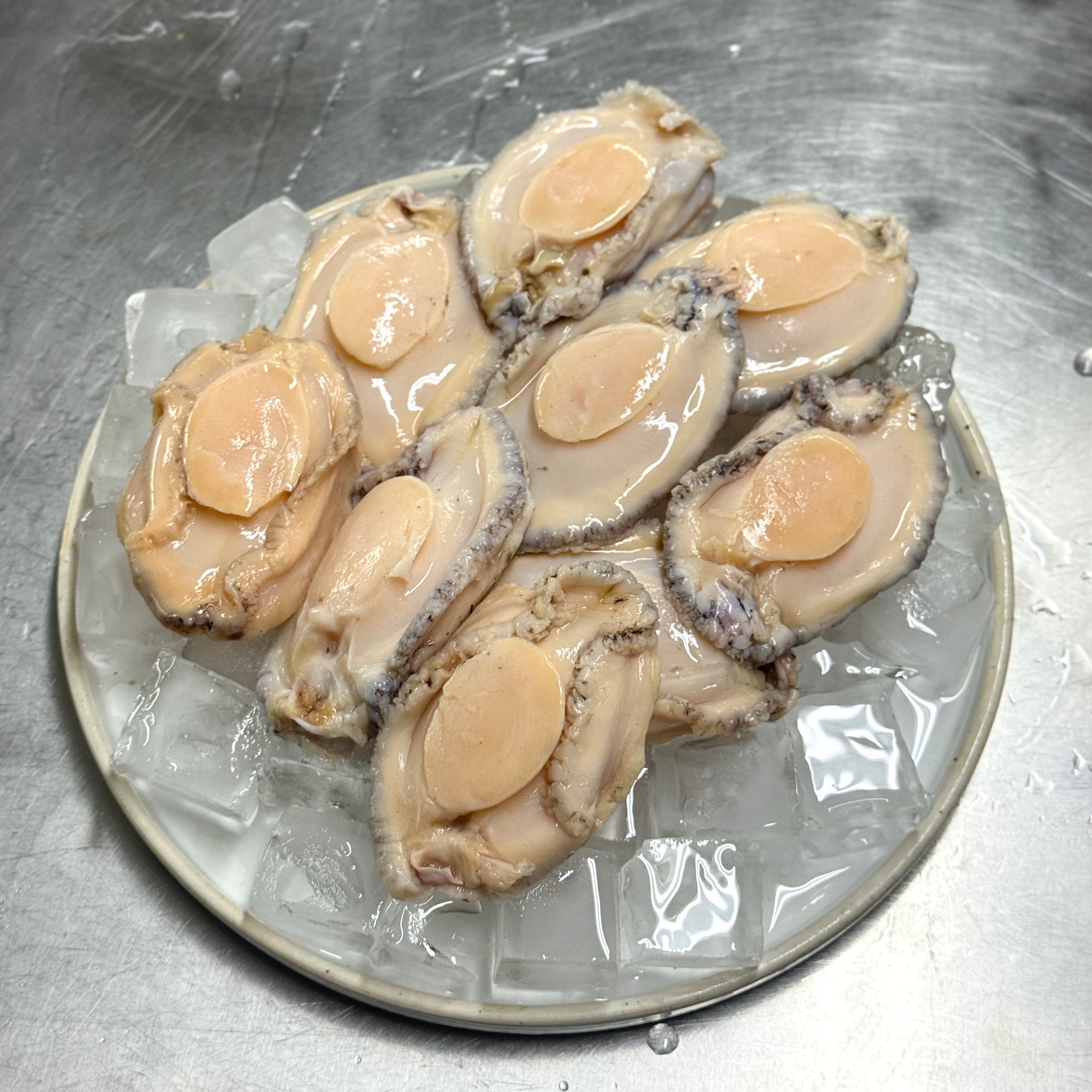 [바다앤영어조합법인] Korean Abalone (Frozen) 한국산 점보 전복 (냉동) (8-9 pcs, 500g~550g)