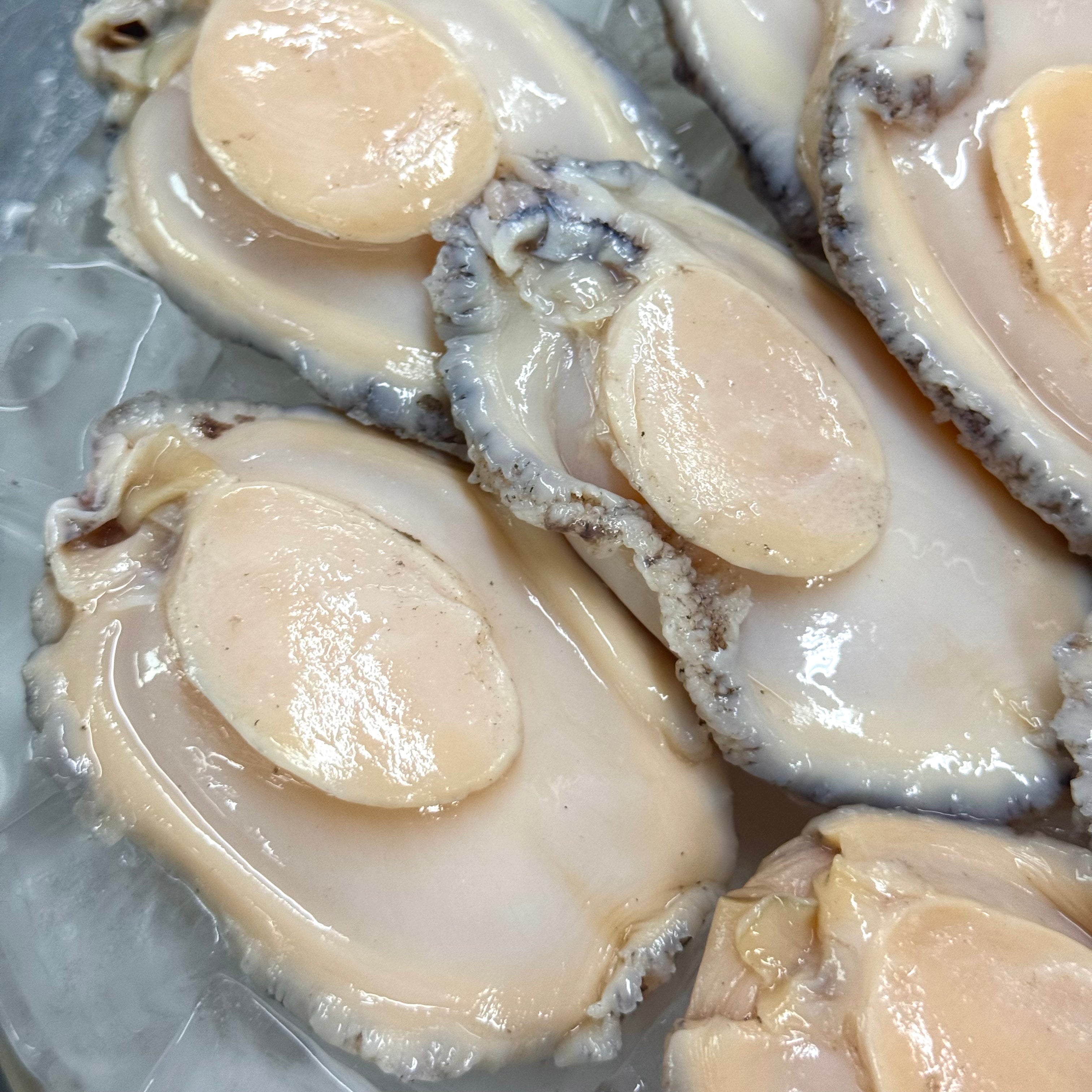 [바다앤영어조합법인] Korean Abalone (Frozen) 한국산 점보 전복 (냉동) (8-9 pcs, 500g~550g)