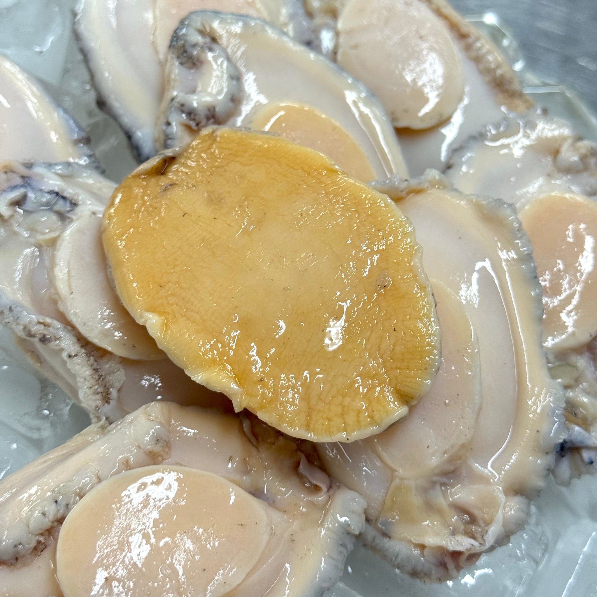 [바다앤영어조합법인] Korean Abalone (Frozen) 한국산 점보 전복 (냉동) (8-9 pcs, 500g~550g)
