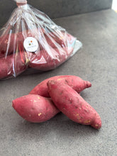 Load image into Gallery viewer, [Seoul Recipe] Sweet Potatoes from Korea 한국 고구마 (~800g, 5-6pcs)
