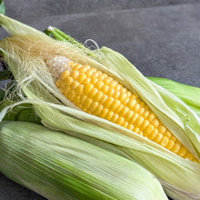 Load image into Gallery viewer, [Seoul Recipe] Super Sweet Corn (2ea) 초당 옥수수 (2개)
