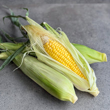 Load image into Gallery viewer, [Seoul Recipe] Super Sweet Corn (2ea) 초당 옥수수 (2개)
