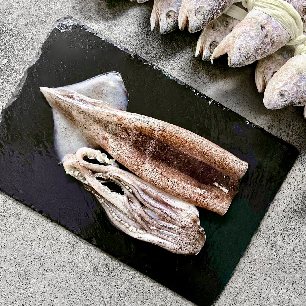 Korean Squid 동해 오징어 (Frozen)
