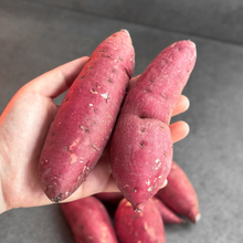 Load image into Gallery viewer, [Seoul Recipe] Sweet Potatoes from Korea 한국 고구마 (~800g, 5-6pcs)
