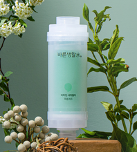 Load image into Gallery viewer, [Bareunsoo] Rust Removal Filter + Vitamin Shower Filter 바른생활수 녹물제거 &amp; 비타민 샤워필터
