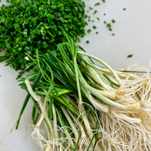 Load image into Gallery viewer, [Seoul Recipe] Spring Chive Sauce [서울레서피] 달래 듬뿍 달래장 (200g)
