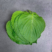 [Seoul Recipe] Korean Fresh Sesame Leaves  한국산 양 많은 깻잎
