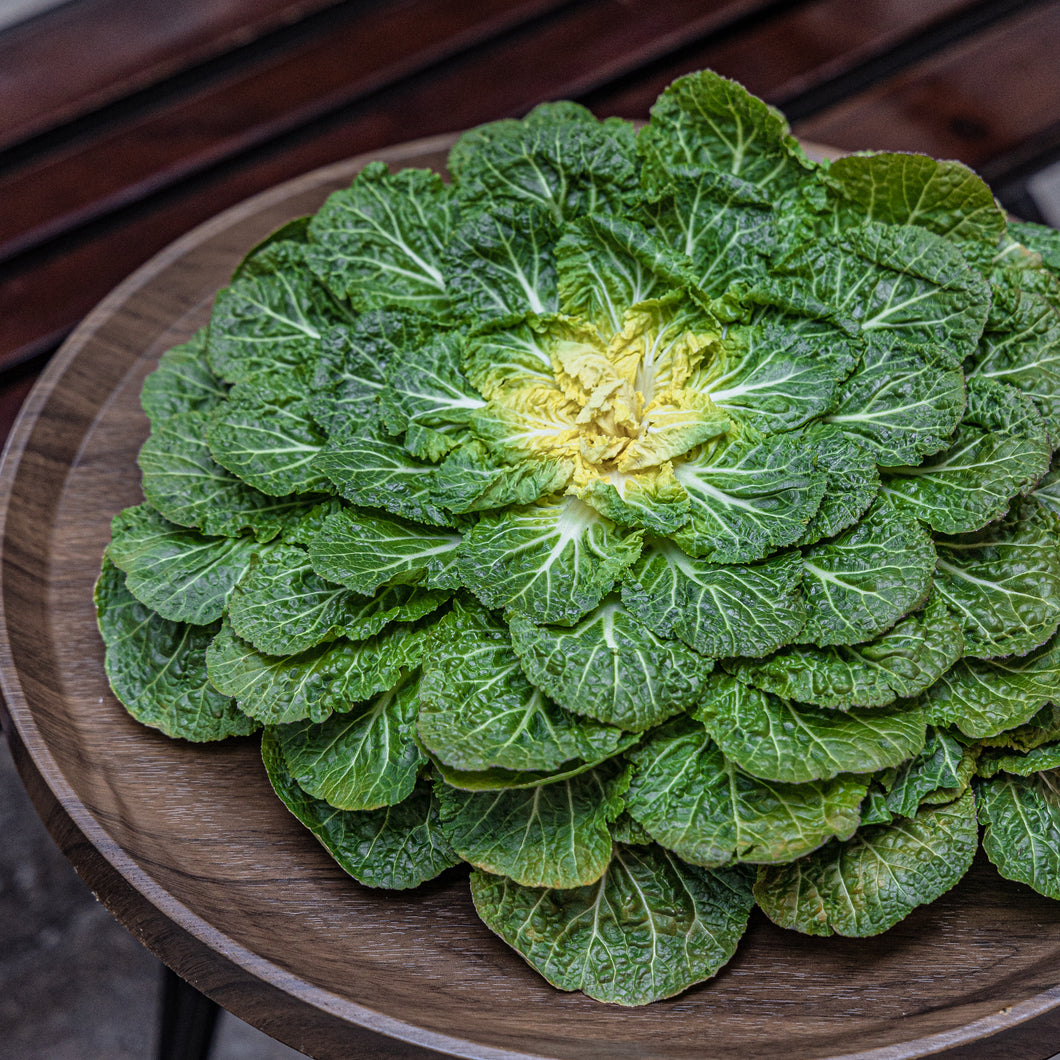 Fresh Spring Cabbage 한국산 봄동 (400-500g)