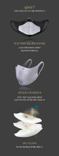 Load image into Gallery viewer, Antibacterial Mask (Nose Lock) 나노 항균 마스크 (4 colors)
