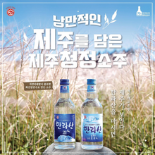 Load image into Gallery viewer, Jeju Hallasan Premium Soju 17% Alc 한라산 소주 17도

