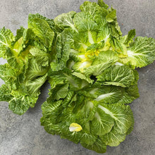 Load image into Gallery viewer, Fresh Spring Cabbage 한국산 봄동 (350-400g)
