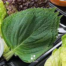Load image into Gallery viewer, [Seoul Recipe] Premium Vegetable Ssam SET 프리미엄 쌈 야채 &amp; 홈메이드 쌈장
